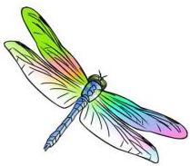 Pastel Dragonfly